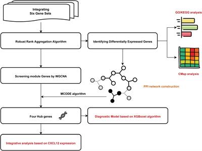 Hub Genes Identification, Small Molecule Compounds Prediction for Atrial Fibrillation and Diagnostic Model Construction Based on XGBoost Algorithm